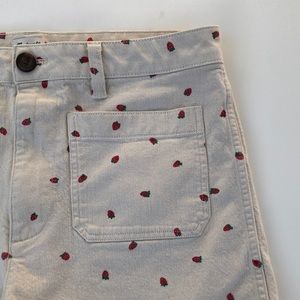 Madewell Emmett Strawberry Shorts Size 30